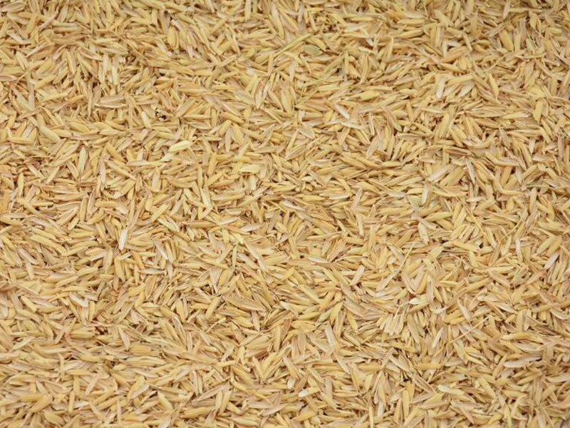 生物質(zhì)燃料燒制輕質(zhì)陶粒的優(yōu)勢(shì)分析