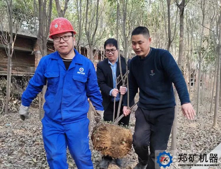 植樹(shù)節(jié)